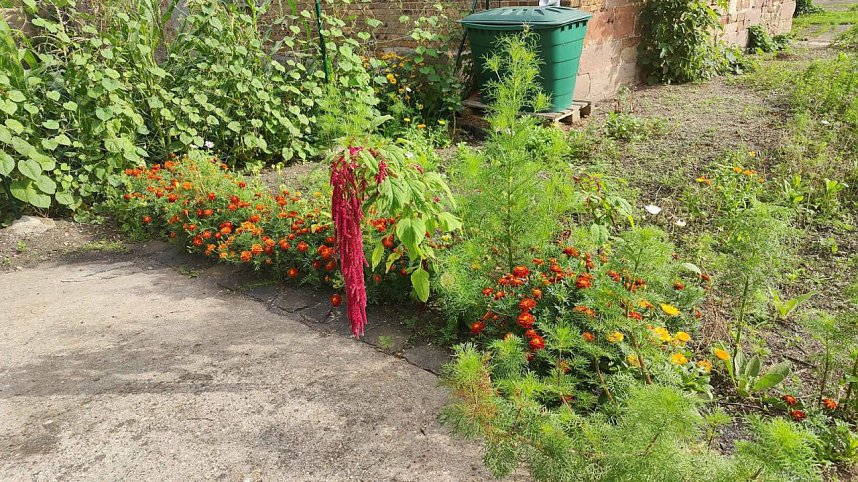 Peter Blei unterwegs im Kloster G&ouml;llingen