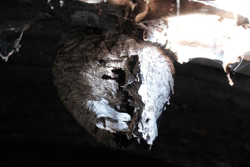 Peter Blei unterwegs mit dem Nachwuchs