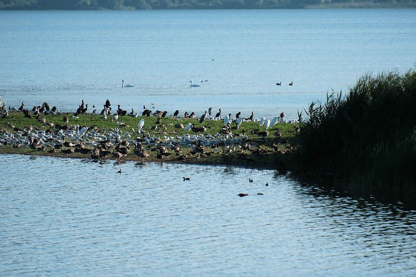 Peter Blei unterwegs im Vogelparadies