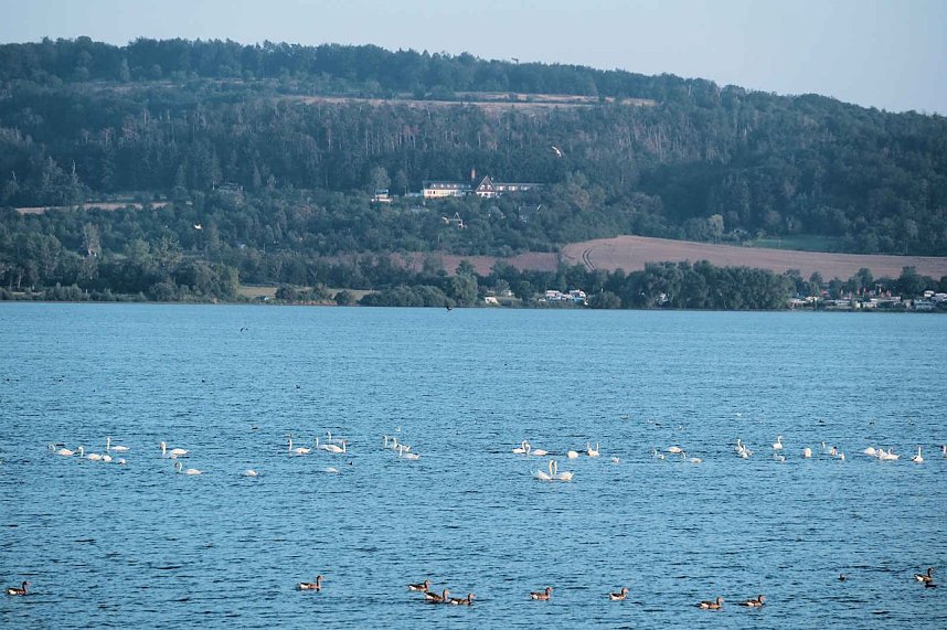 Peter Blei unterwegs im Vogelparadies