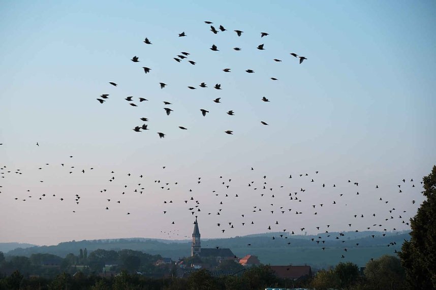 Peter Blei unterwegs im Vogelparadies