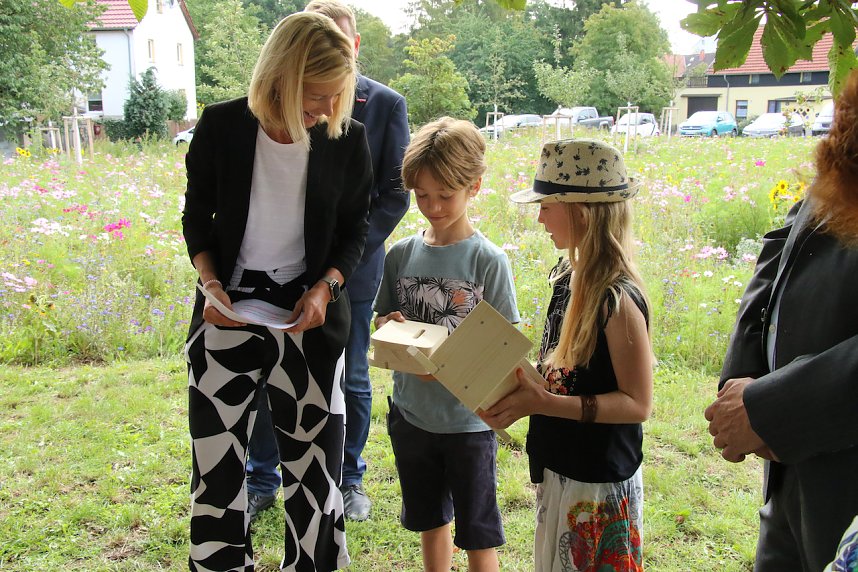 Bl&uuml;tenpracht am Hesser&ouml;der Dorfanger