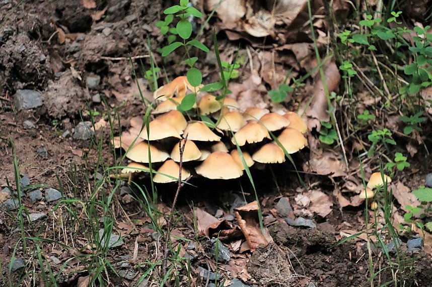 Unterwegs zum Hufhaus