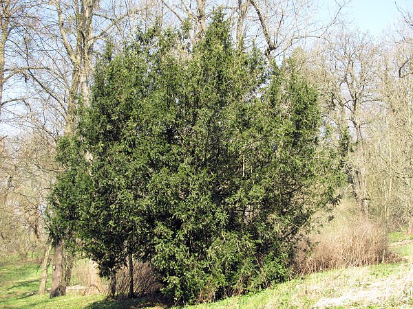 Unterwegs in "Hohenrode"