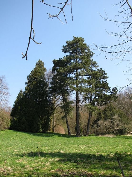 Unterwegs in "Hohenrode"