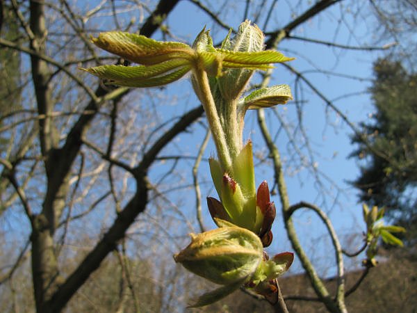 Unterwegs in "Hohenrode"