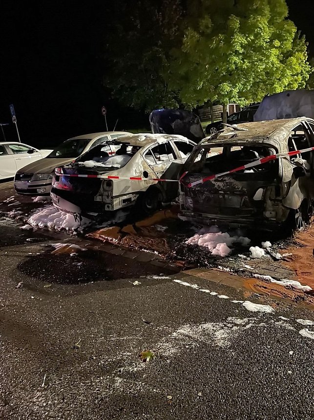 Pkw-Brand in Sollstedt