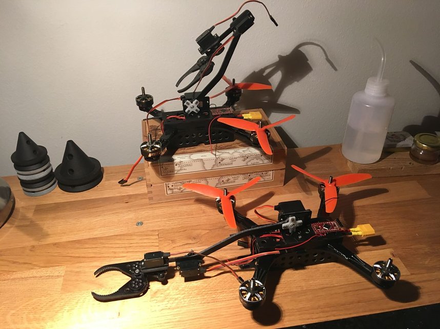 International Micro Air Vehicle Conference and Flight Competition in Aachen