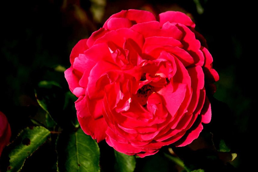 Peter Blei unterwegs auf dem Petersberg