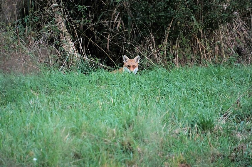 Peter Blei unterwegs in der Windl&uuml;cke