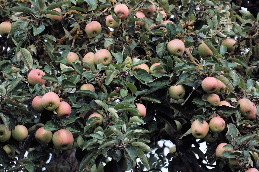 Peter Blei unterwegs in der Windl&uuml;cke