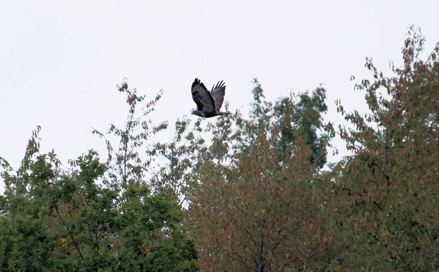 Peter Blei unterwegs in der Windl&uuml;cke