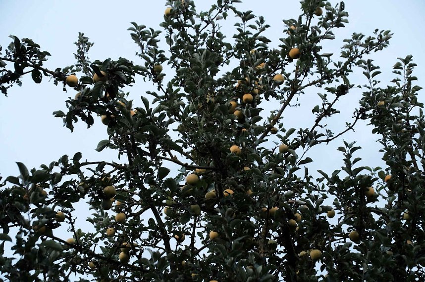 Peter Blei unterwegs in der Windl&uuml;cke