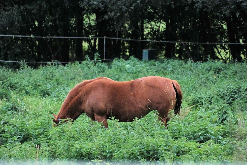 Peter Blei unterwegs in der Windl&uuml;cke