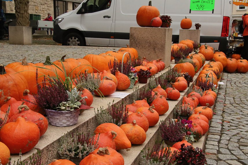 K&uuml;rbismarkt in Nordhausen