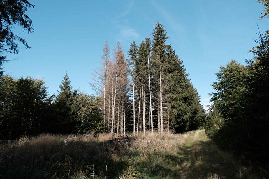 In Rothes&uuml;tte und am Stausee Kelbra