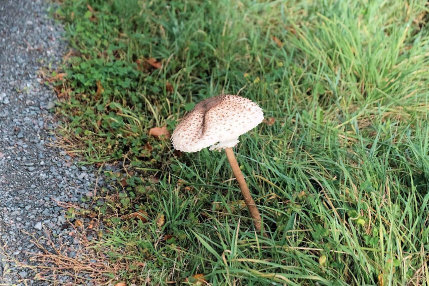 In Rothes&uuml;tte und am Stausee Kelbra