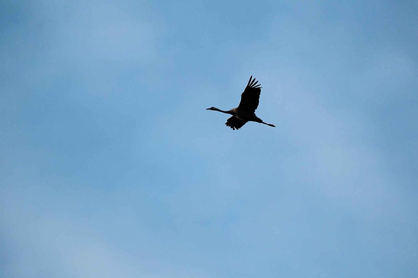 In Rothes&uuml;tte und am Stausee Kelbra