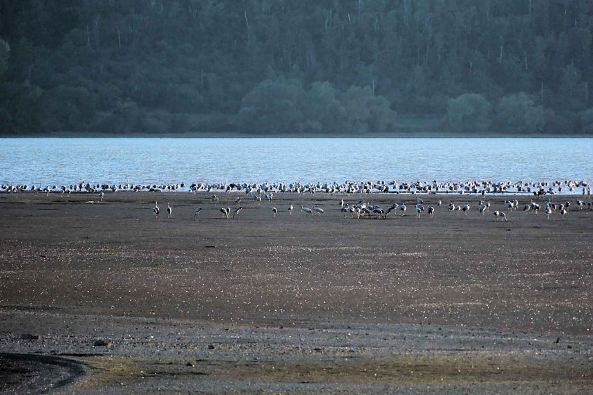 Neuer Aussichtsturm am Stausee Kelbra