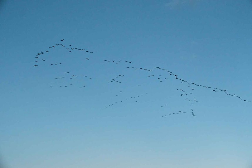 Neuer Aussichtsturm am Stausee Kelbra