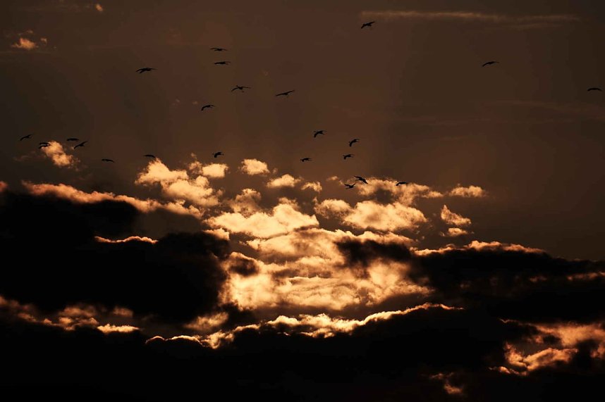 Neuer Aussichtsturm am Stausee Kelbra