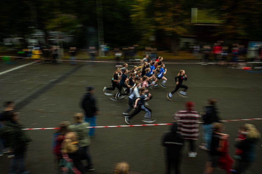 Herbstcrosslauf im Gehege