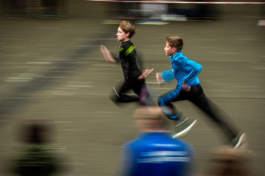Herbstcrosslauf im Gehege
