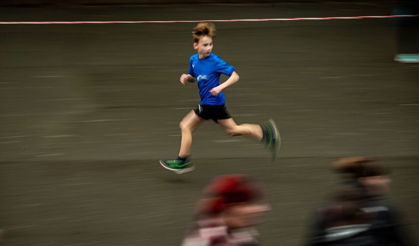 Herbstcrosslauf im Gehege