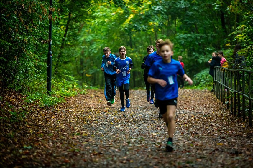 Herbstcrosslauf im Gehege
