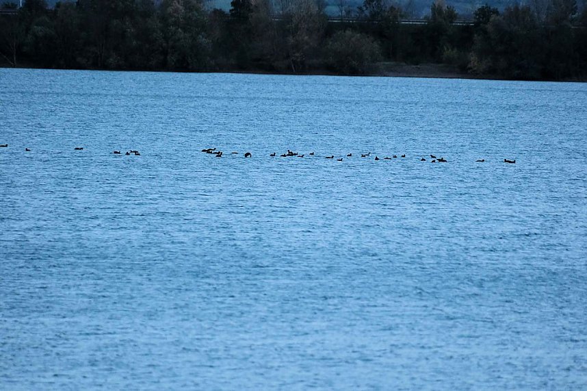 Herbst am Kiesschacht