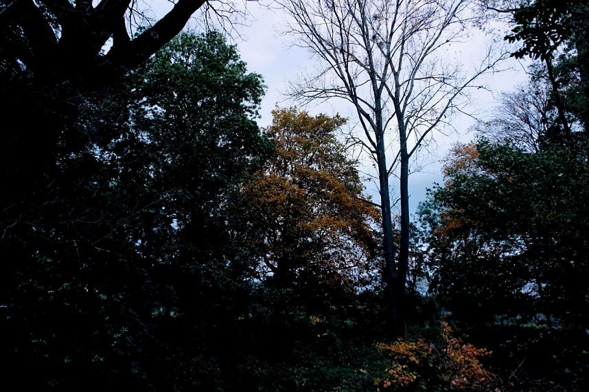 Herbst am Kiesschacht