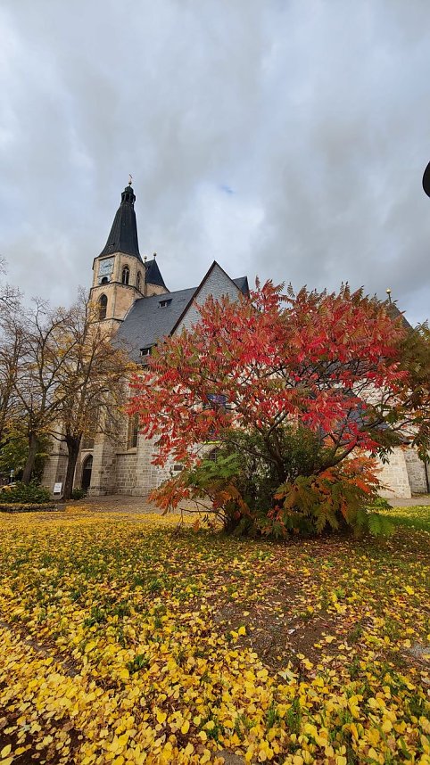 Herbst am Kiesschacht
