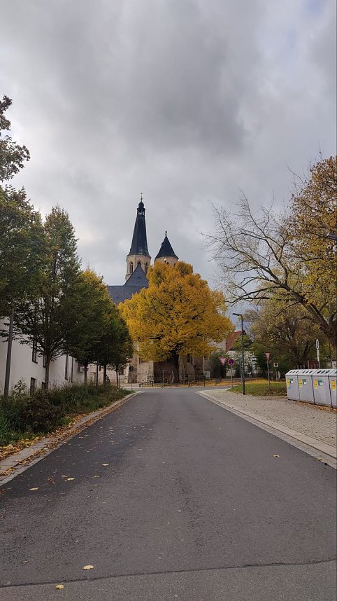 Herbst am Kiesschacht