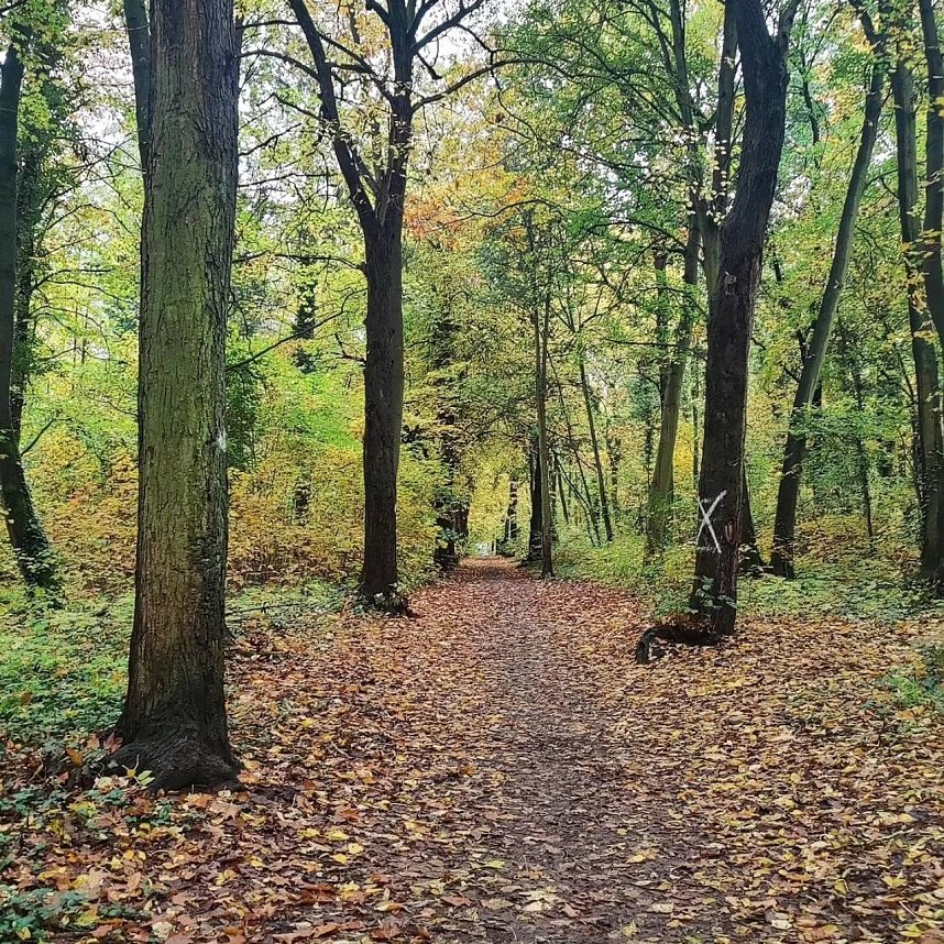 Herbst am Kiesschacht