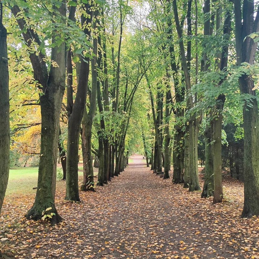 Herbst am Kiesschacht