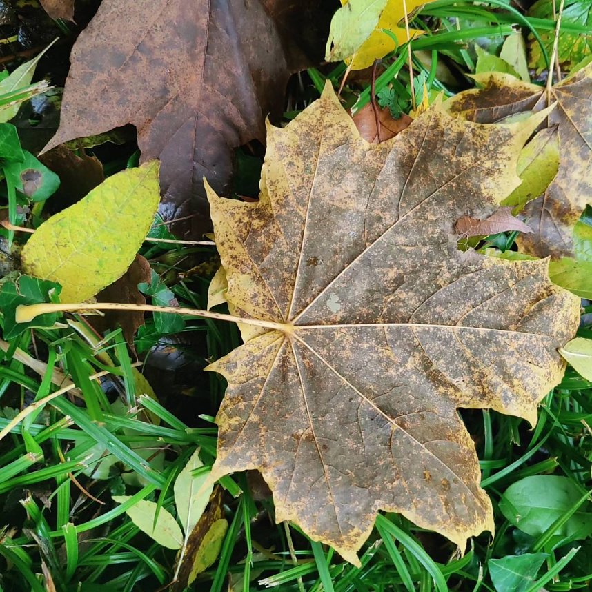 Herbst am Kiesschacht