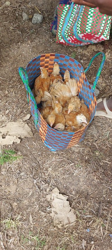 &Uuml;berw&auml;ltigend war die Freude