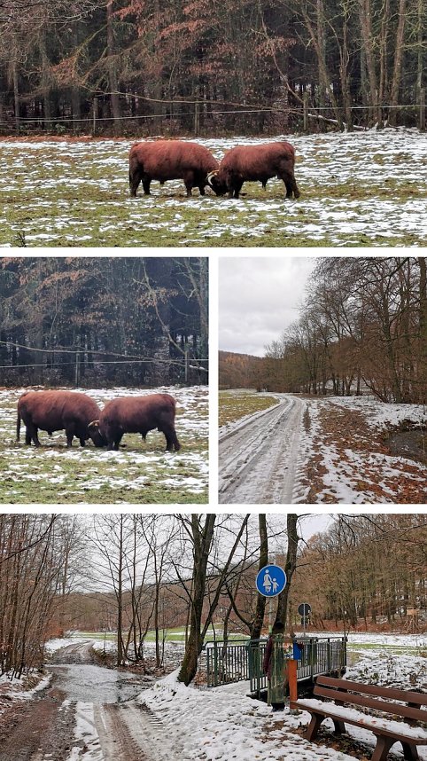 Collage: Auf einer Wanderung am 2. Advent