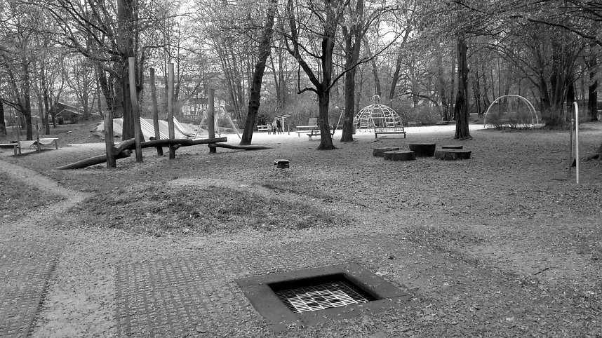 Beobachtungen im Stadtpark