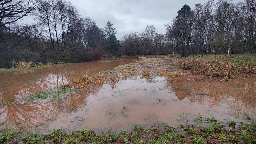 Peter Blei unterwegs im Stadtpark
