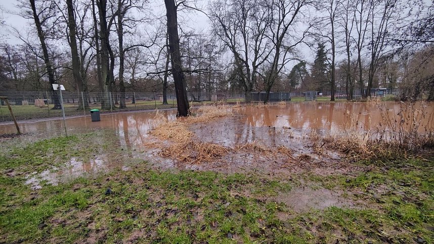 Peter Blei unterwegs im Stadtpark