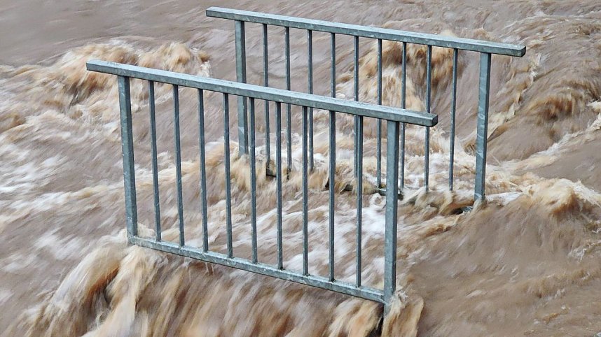 Peter Blei unterwegs im Stadtpark