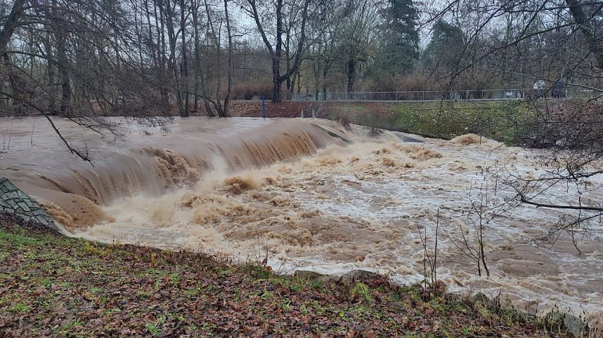 Peter Blei unterwegs im Stadtpark