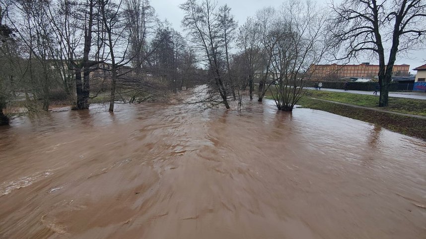 Peter Blei unterwegs im Stadtpark