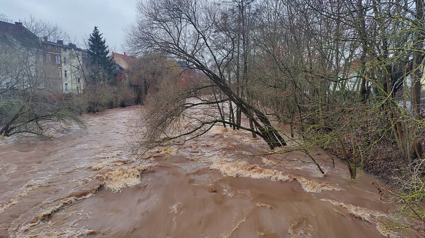 Peter Blei unterwegs im Stadtpark
