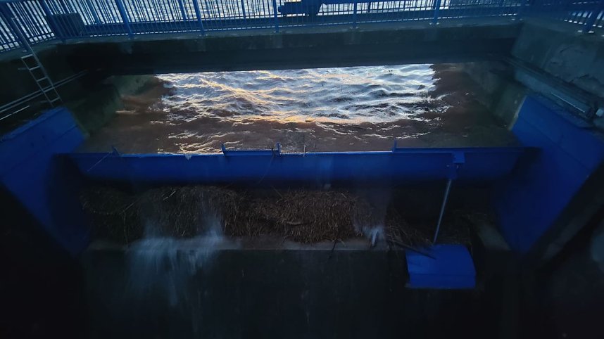 Voller Stausee bei Kelbra