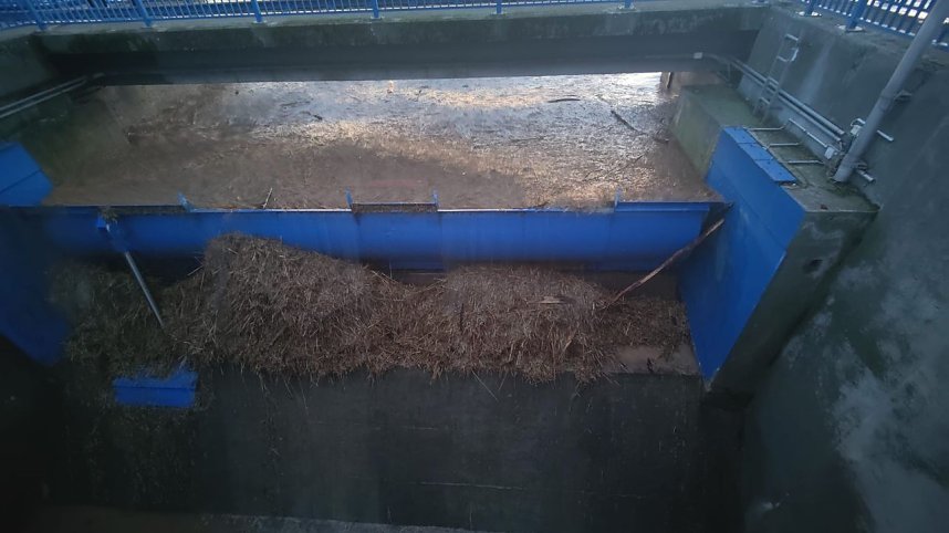 Voller Stausee bei Kelbra