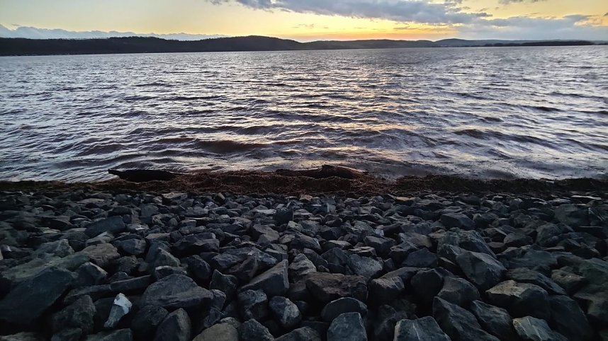 Voller Stausee bei Kelbra