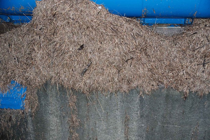 Voller Stausee bei Kelbra