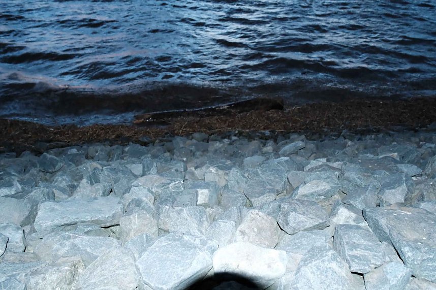 Voller Stausee bei Kelbra